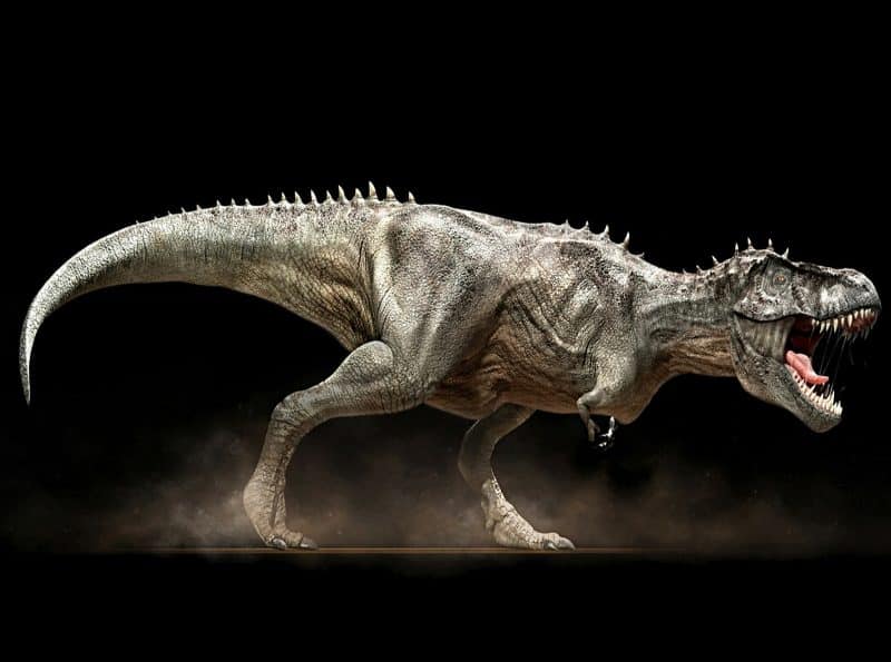 Tiranosaurio rex imagen grande